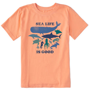 Life Is Good. Kids Sea Life is Good SS Crusher Tee, Canyon Orange
