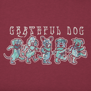 Life is Good. Men's Tie Dye Grateful Dog SS Crusher Tee, Cranberry Red
